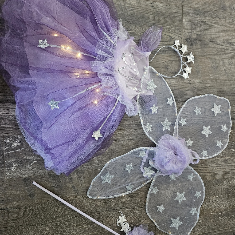 Pottery Barn Kids fairy costume 3T